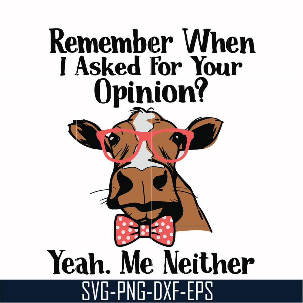 NCRM0147-Remember when i asked for your opinion yeah me neither svg, png, dxf, eps digital file NCRM0147.jpg