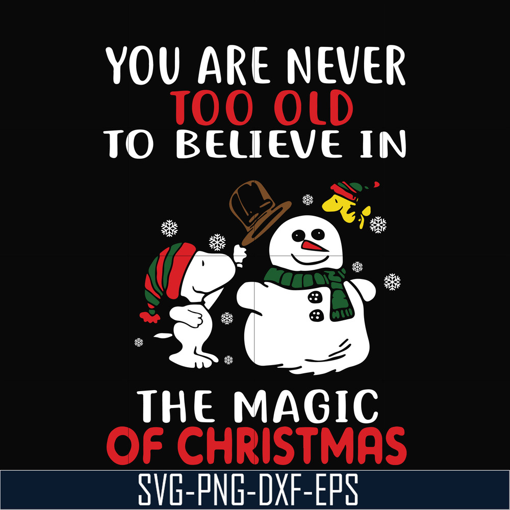 NCRM0178-You are never too old to believe in the magic of christmas svg, png, dxf, eps digital file NCRM0178.jpg