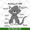 FN15062112-Cat Anatomy For svg, png, dxf, eps digital file FN15062112.jpg
