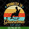 MTD20042113-Promoted to grandma est 2021 svg, Mother's day svg, eps, png, dxf digital file MTD20042113.jpg