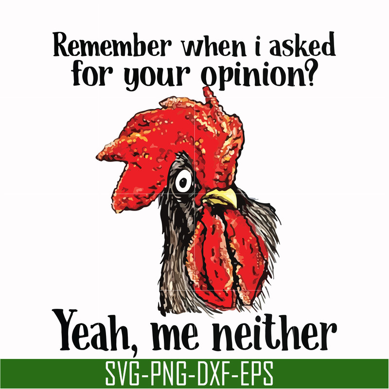 NCRM0149-Remember when i asked for your opinion yeah, me neither svg, png, dxf, eps digital file NCRM0149.jpg