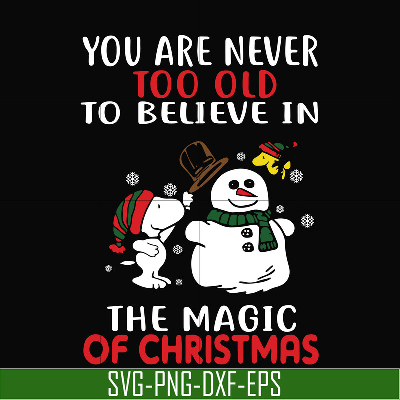 NCRM0178-You are never too old to believe in the magic of christmas svg, png, dxf, eps digital file NCRM0178.jpg