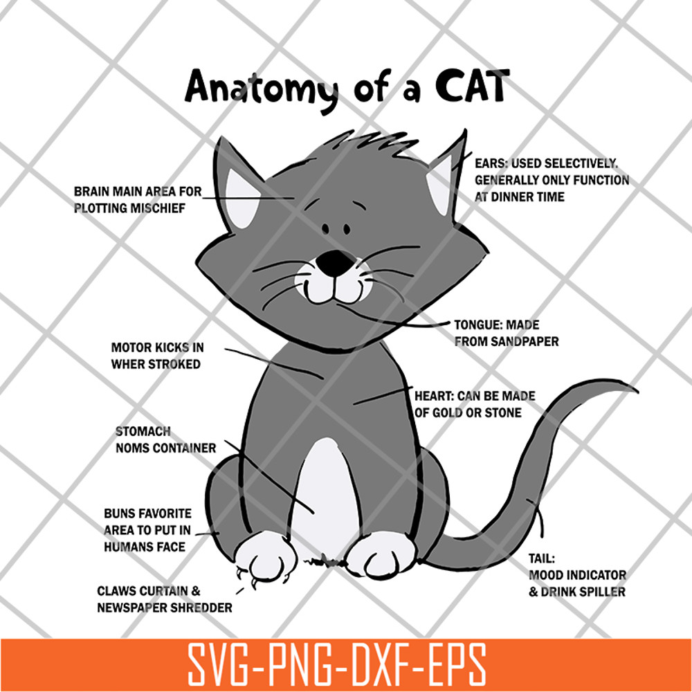 FN15062112-Cat Anatomy For svg, png, dxf, eps digital file FN15062112.jpg