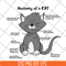 FN15062112-Cat Anatomy For svg, png, dxf, eps digital file FN15062112.jpg