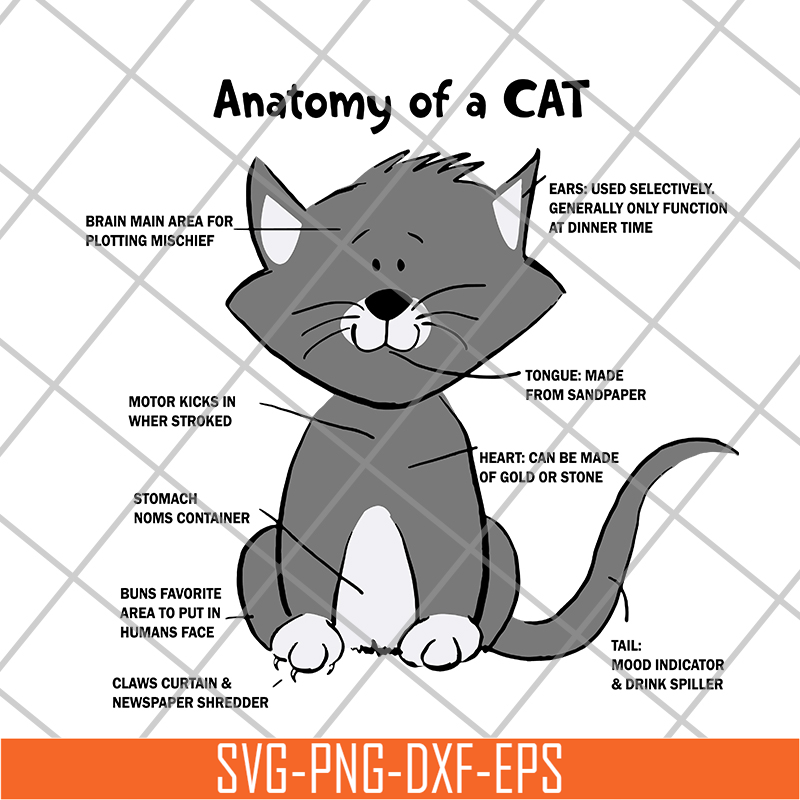FN15062112-Cat Anatomy For svg, png, dxf, eps digital file FN15062112.jpg