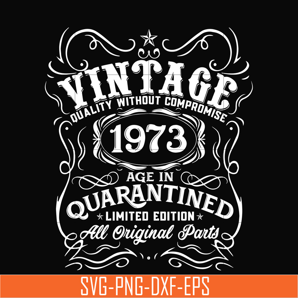 NBD0100-Vintage 1973 age in quarantined limited edition svg, limited edition svg, 1973 birthday svg, png, dxf, eps digital file NBD0100.jpg