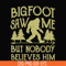 TD27072017-Bigfoot saw me but nobody believes him svg, png, dxf, eps digital file TD27072017.jpg