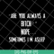 FN16062106-Are You Always A Bitch nope sometimes i'm asleep svg, png, dxf, eps digital file FN16062106.jpg