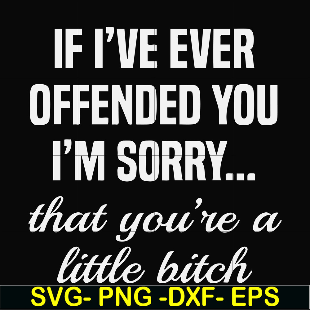 FN000505-If I've ever offended you I'm sorry that you're a little bitch svg, png, dxf, eps file FN000505.jpg