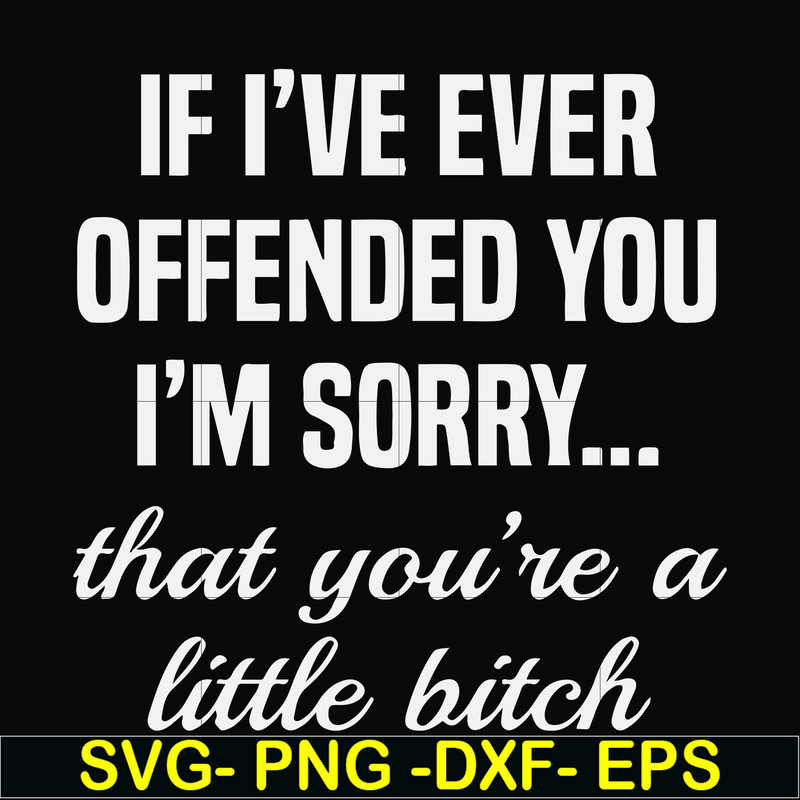 FN000505-If I've ever offended you I'm sorry that you're a little bitch svg, png, dxf, eps file FN000505.jpg