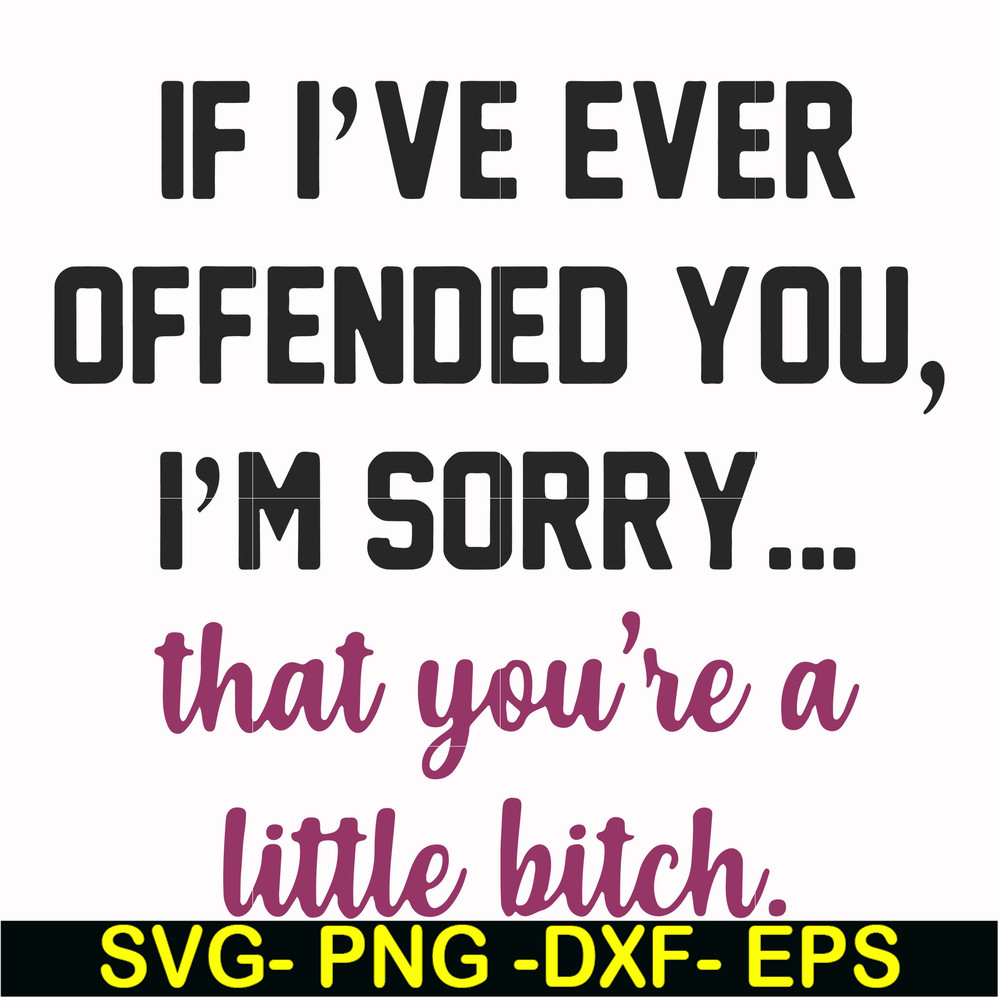FN000506-If I've ever offended you I'm sorry that you're a little bitch svg, png, dxf, eps file FN000506.jpg