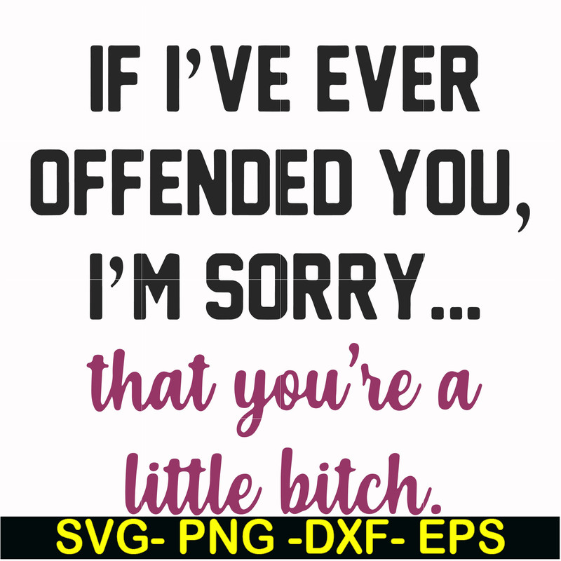 FN000506-If I've ever offended you I'm sorry that you're a little bitch svg, png, dxf, eps file FN000506.jpg