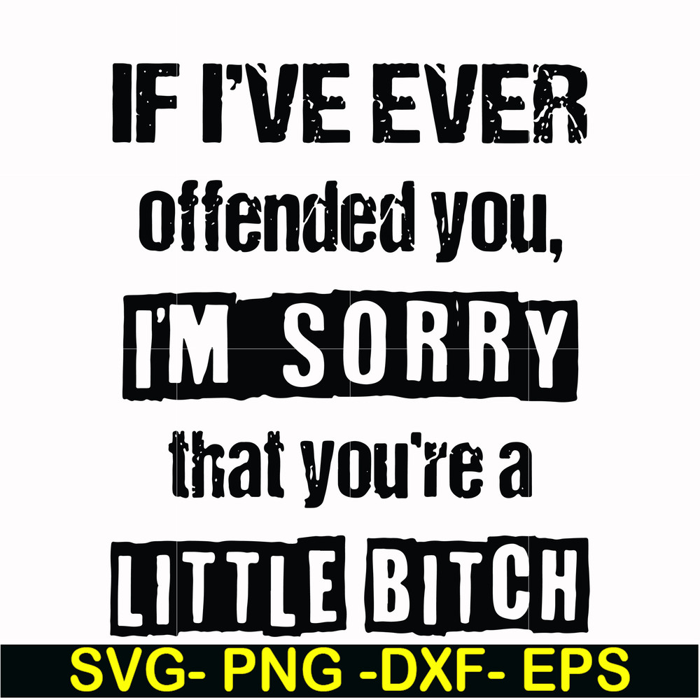 FN000663-If I've ever offended you Im sorry that you're a little bitch svg, png, dxf, eps file FN000663.jpg