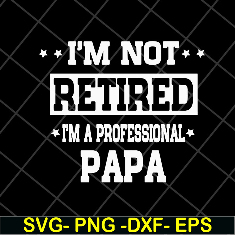 FTD04052112-Im not retired im a professional papa svg, Fathers day svg, png, dxf, eps digital file FTD04052112.jpg