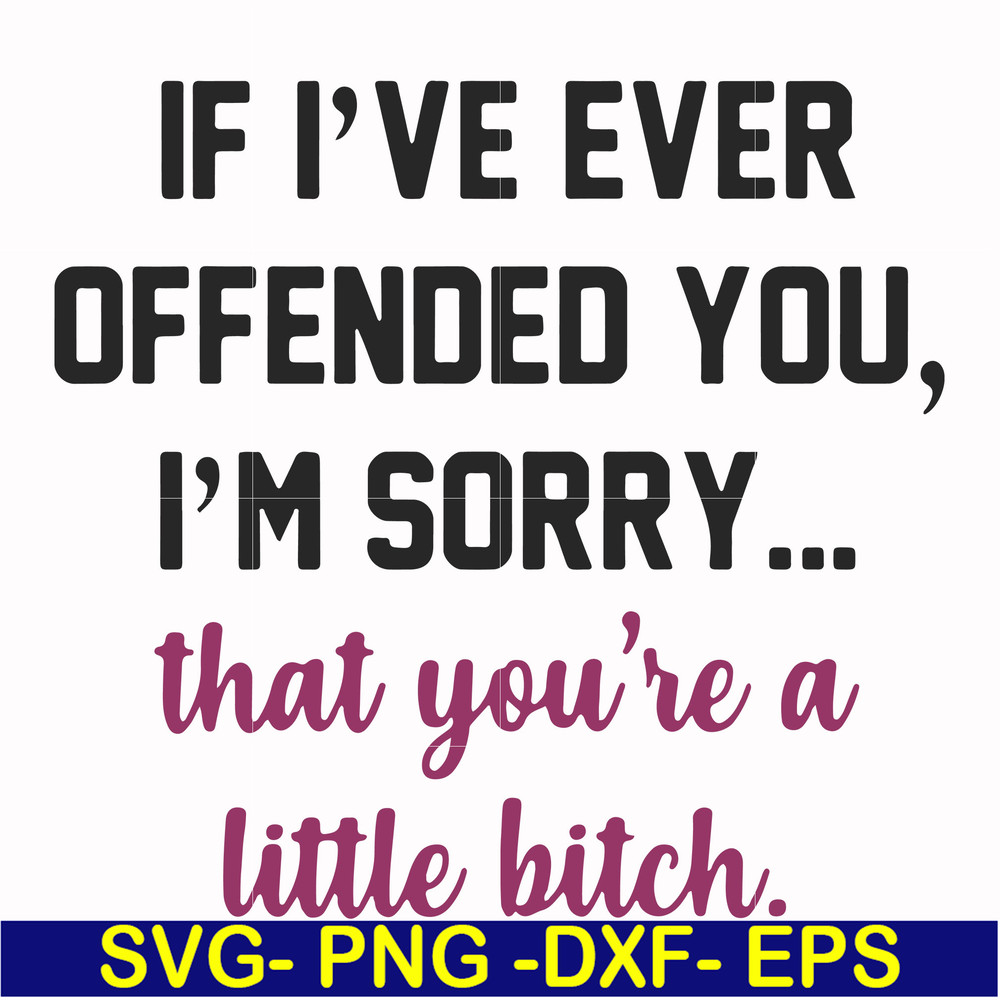 FN000506-If I've ever offended you I'm sorry that you're a little bitch svg, png, dxf, eps file FN000506.jpg