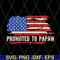 FTD08062119-Promoted to papaw American flag father’s day 2021 svg, png, dxf, eps digital file FTD08062119.jpg