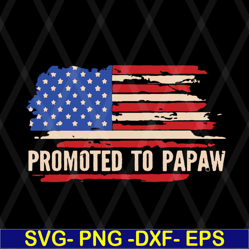 FTD08062119-Promoted to papaw American flag father’s day 2021 svg, png, dxf, eps digital file FTD08062119.jpg