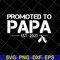 FTD28042118-Promoted to papa 2021 svg, Fathers day svg, png, dxf, eps digital file FTD28042118.jpg
