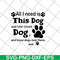 FN11062104-All i need is this dog svg, png, dxf, eps digital file FN11062104.jpg