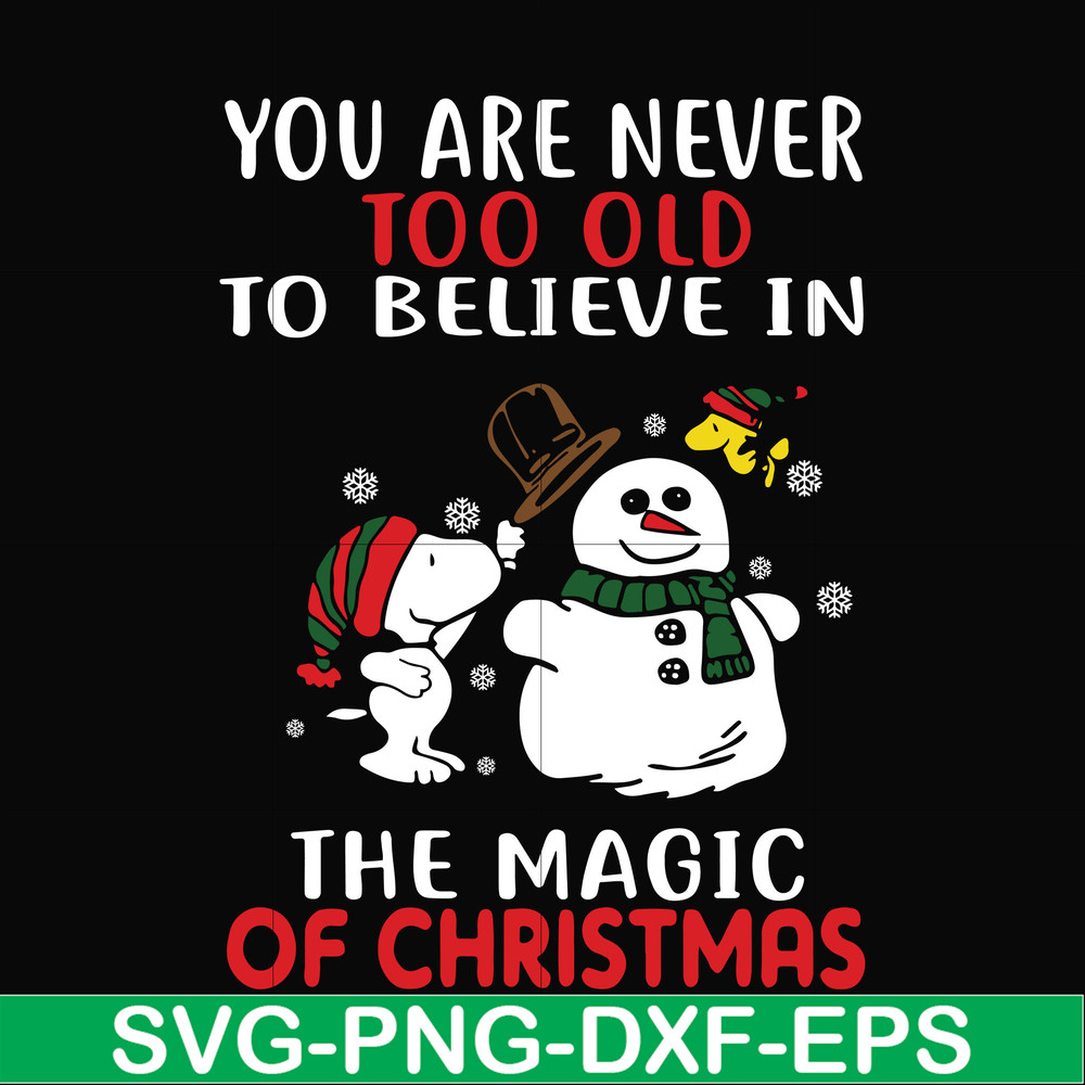 NCRM0178-You are never too old to believe in the magic of christmas svg, png, dxf, eps digital file NCRM0178.jpg