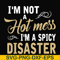 FN00080-I'm not a hot mess I'm a spicy disaster svg, png, dxf, eps file FN00080.jpg