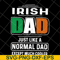 FTD13052103-I rish dad svg, png, dxf, eps digital file FTD13052103.jpg