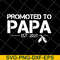 FTD28042118-Promoted to papa 2021 svg, Fathers day svg, png, dxf, eps digital file FTD28042118.jpg