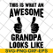 FTD29042106-This is what an awesome grandpa svg, Fathers day svg, png, dxf, eps digital file FTD29042106.jpg