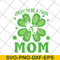 MTD26042125-Lucky to be a twin mom svg, Mother's day svg, eps, png, dxf digital file MTD26042125.jpg