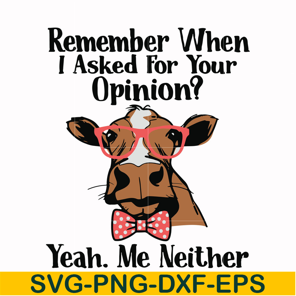 NCRM0147-Remember when i asked for your opinion yeah me neither svg, png, dxf, eps digital file NCRM0147.jpg