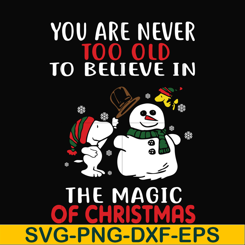 NCRM0178-You are never too old to believe in the magic of christmas svg, png, dxf, eps digital file NCRM0178.jpg