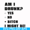 FN000482-Am I drunk yes no bitch I might be svg, png, dxf, eps file FN000482.jpg