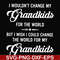 FN000332-I wouldn't change my grandkids for the world but I wish I could change the world for my grandkids svg, png, dxf, eps file FN000332.jpg