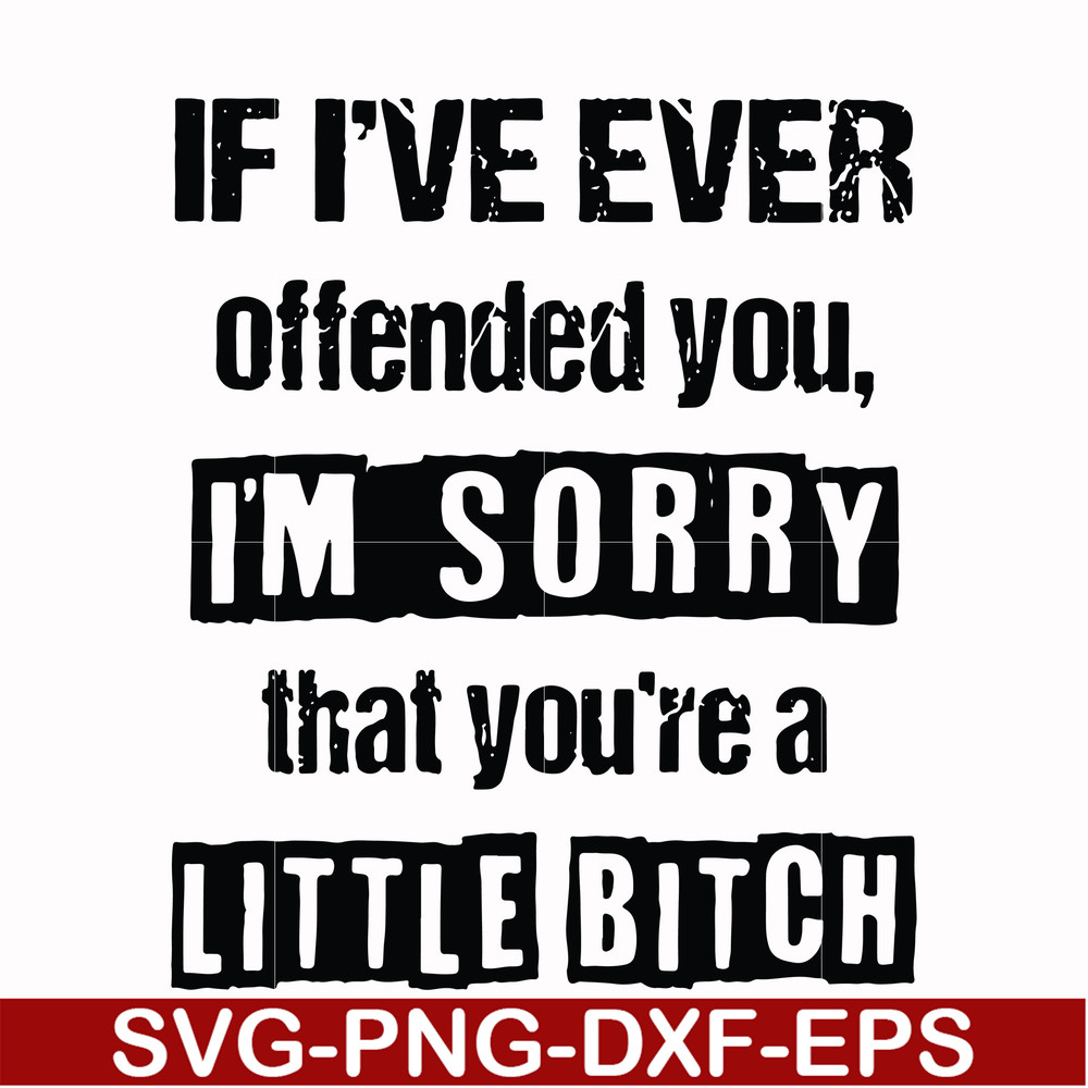 FN000663-If I've ever offended you Im sorry that you're a little bitch svg, png, dxf, eps file FN000663.jpg
