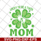 MTD26042125-Lucky to be a twin mom svg, Mother's day svg, eps, png, dxf digital file MTD26042125.jpg