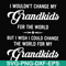 FN000332-I wouldn't change my grandkids for the world but I wish I could change the world for my grandkids svg, png, dxf, eps file FN000332.jpg
