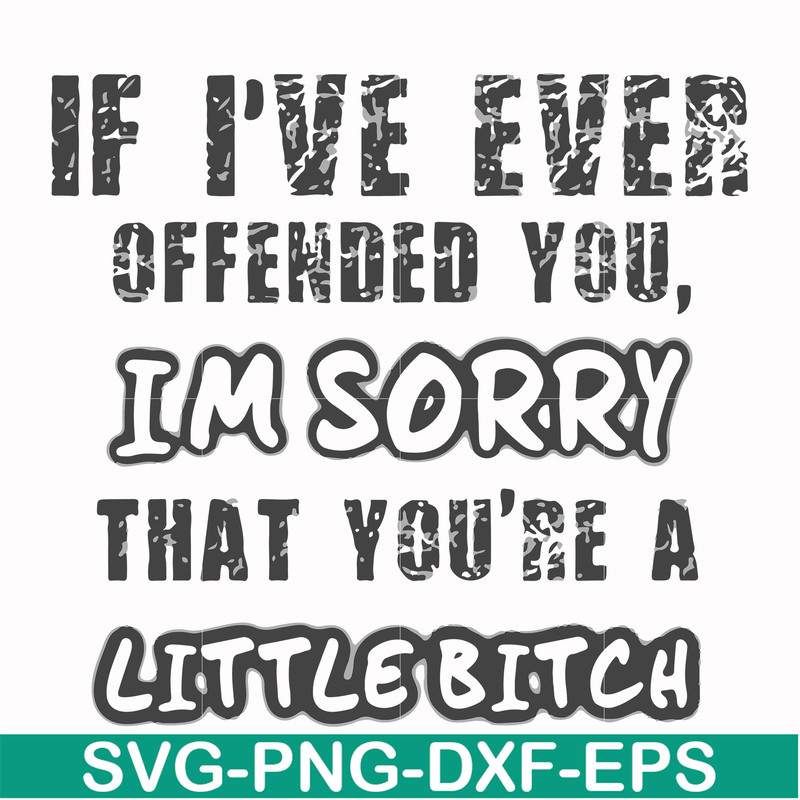 FN000662-If I've ever offended you Im sorry that you're a little bitch svg, png, dxf, eps file FN000662.jpg