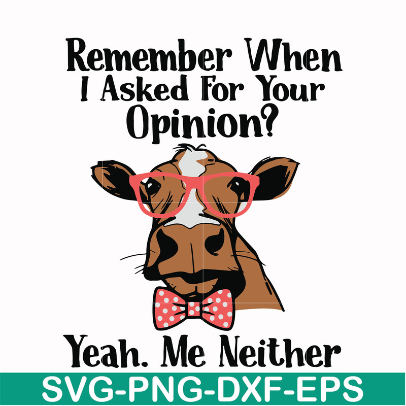NCRM0147-Remember when i asked for your opinion yeah me neither svg, png, dxf, eps digital file NCRM0147.jpg