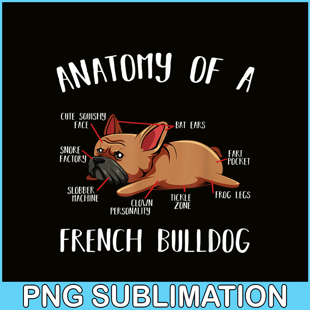HL16102304-Anatomy Of A French Bulldog PNG Frenchie Dog PNG, Bulldog Mascot PNG.png