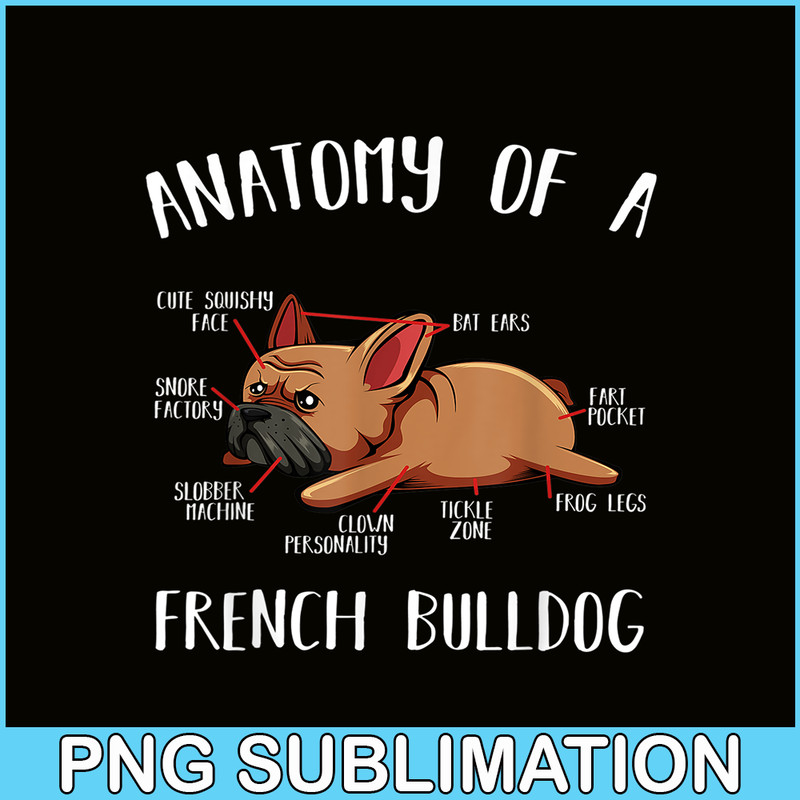 HL16102304-Anatomy Of A French Bulldog PNG Frenchie Dog PNG, Bulldog Mascot PNG.png
