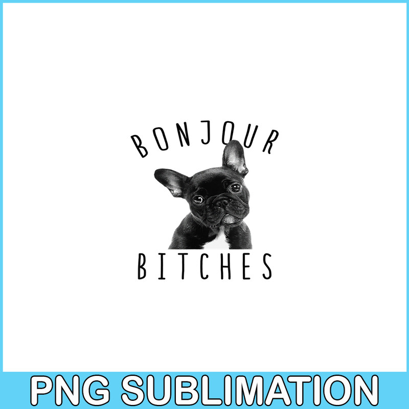HL16102310-Bonjour Bitches PNG , Funny French Bulldog PNG, Dog Lover PNG.png