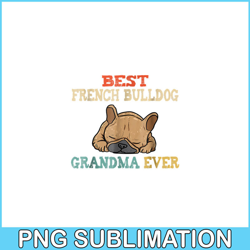 HL161023208-Vintage Best French Bulldog Grandma Funny PNG.png