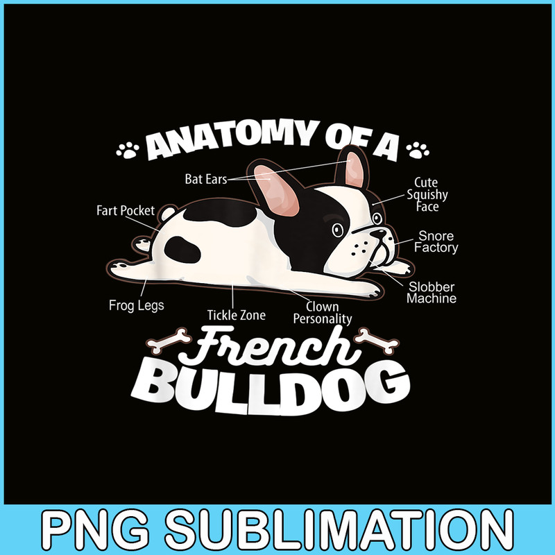 HL16102360-Anatomy Of A French Bulldog PNG, French Bulldog Graphic PNG, Bulldog Mascot PNG.png
