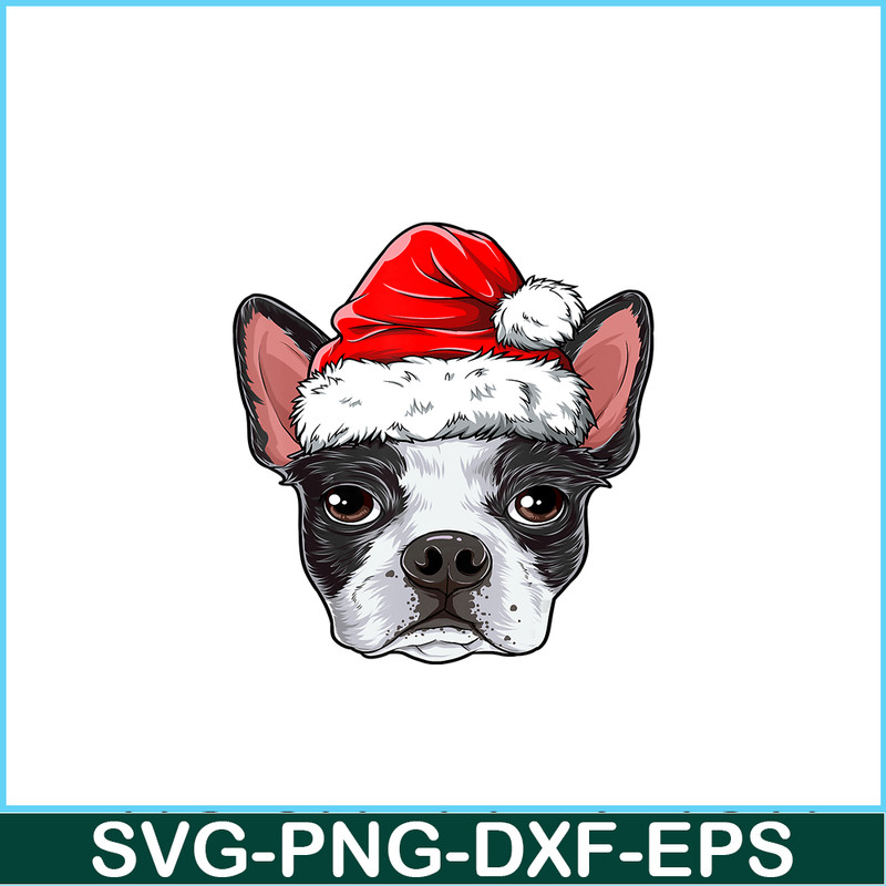 PNG141023104-Boston Terrier Christmas Dog Santa Hat Xmas Boys Kids Girls T-Shirt Png.png