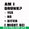 FN000482-Am I drunk yes no bitch I might be svg, png, dxf, eps file FN000482.jpg