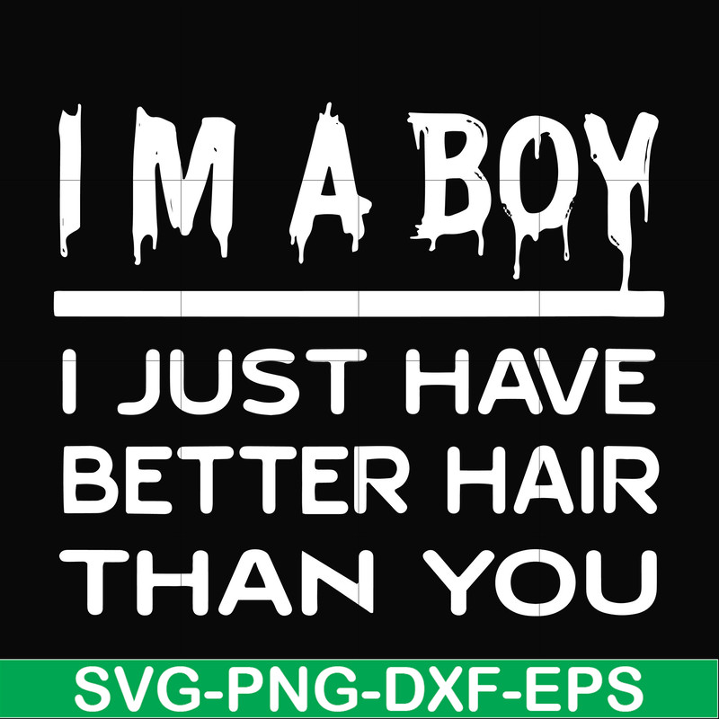 FN00096-I'm a boy I just have better hair than you svg, png, dxf, eps file FN00096.jpg