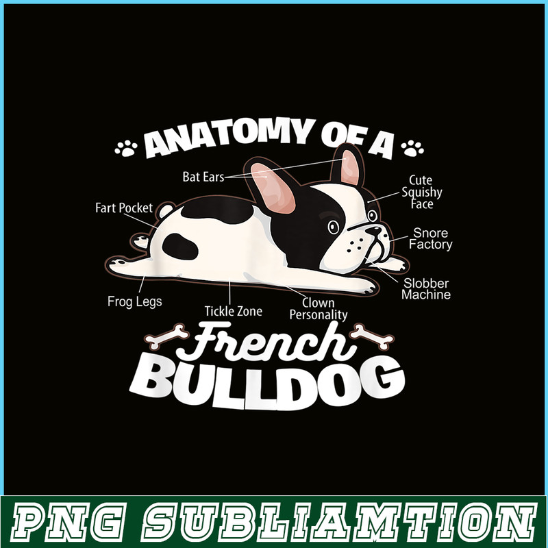 HL16102360-Anatomy Of A French Bulldog PNG, French Bulldog Graphic PNG, Bulldog Mascot PNG.png