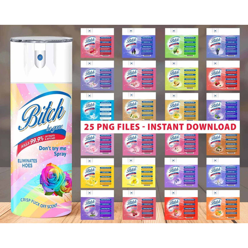 Bitch Be Gone Tumbler Wrap Download - 20 oz Skinny Tumbler Sublimation Design, Digital Download PNG - Funny Spray Tumbler Download.jpg