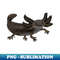 GE-1781_Amphibians - Axolotl - Black Melanoid 9942.jpg