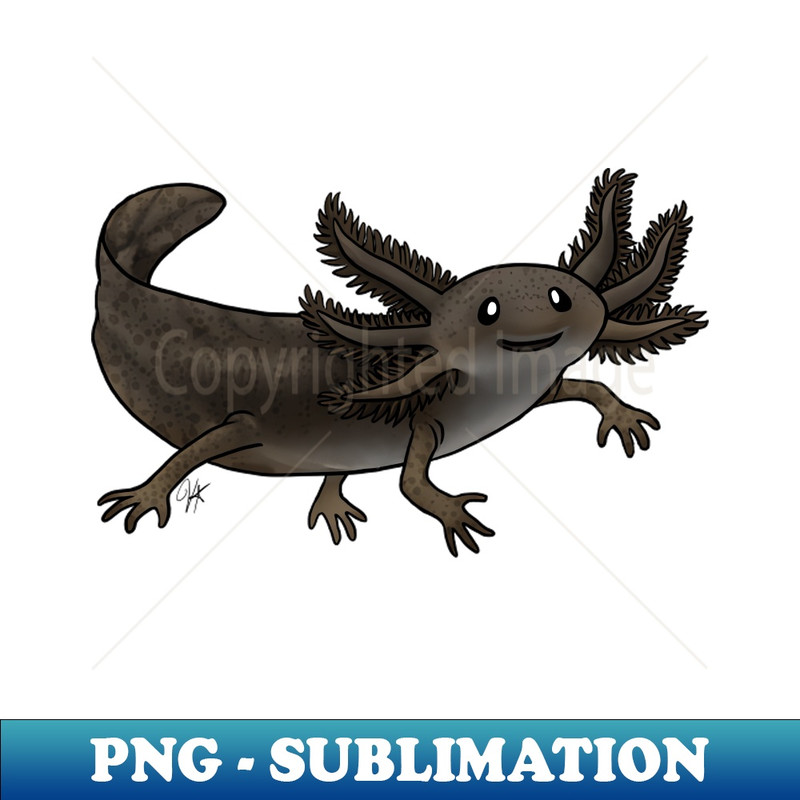 GE-1781_Amphibians - Axolotl - Black Melanoid 9942.jpg